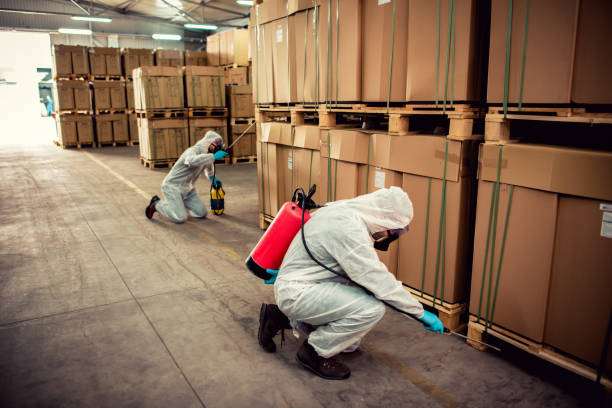Best Ant Control Services  in Cherry Grove, OH