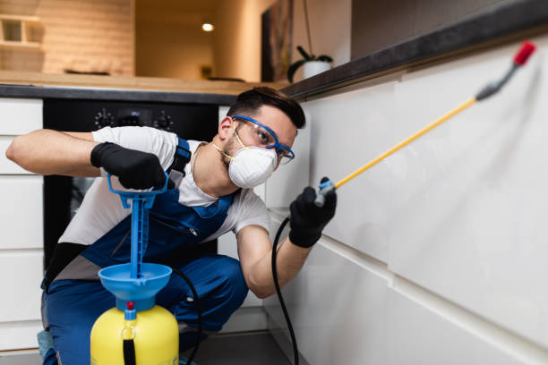 Best Residential Pest Control  in Cherry Grove, OH