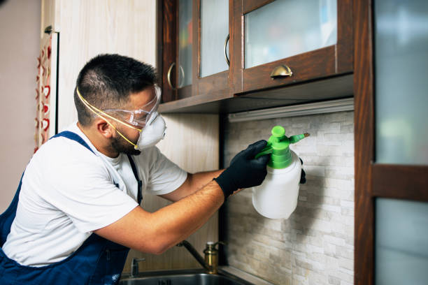 Best Local Pest Control Services  in Cherry Grove, OH