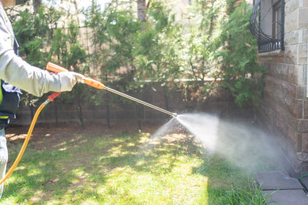Best Emergency Pest Control  in Cherry Grove, OH
