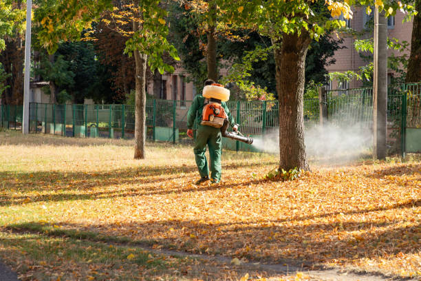 Best Wildlife Control Services  in Cherry Grove, OH