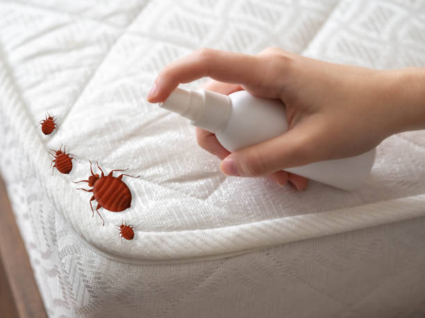 Best Flea Control Services  in Cherry Grove, OH