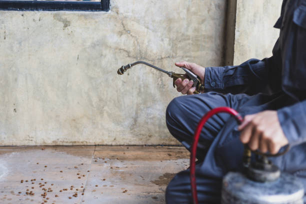 Best Pest Prevention Services  in Cherry Grove, OH